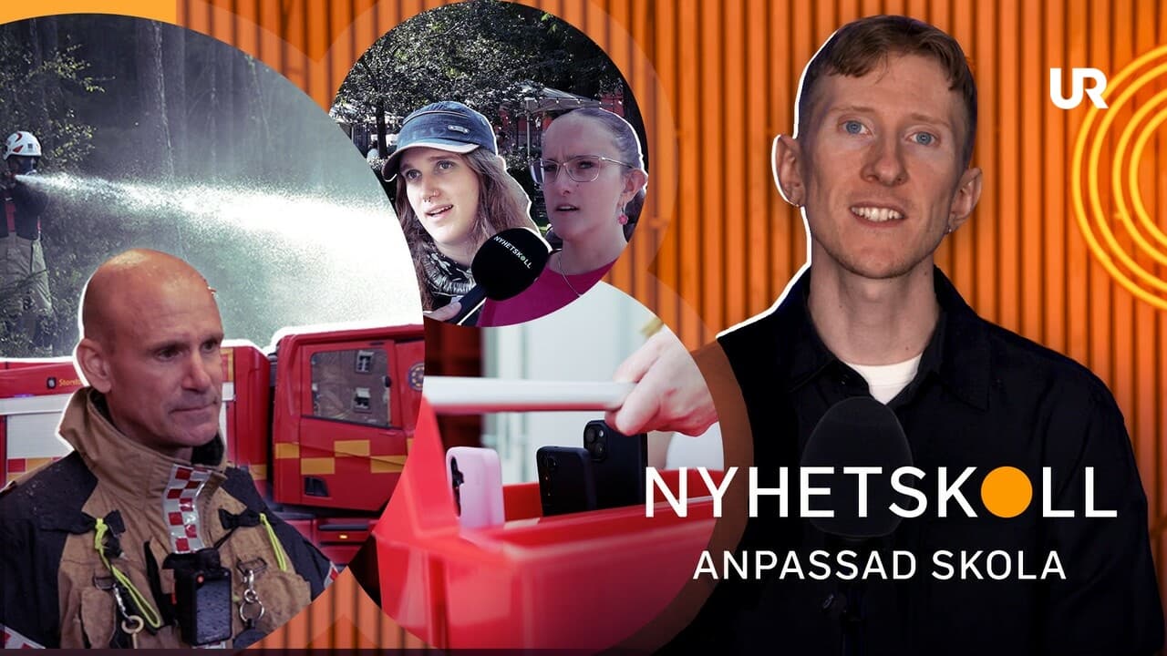 Nyhetskoll anpassad skola